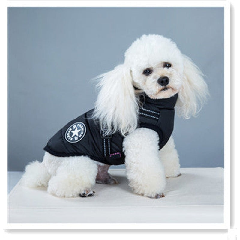 Padded dog coat with built-in harness in Black